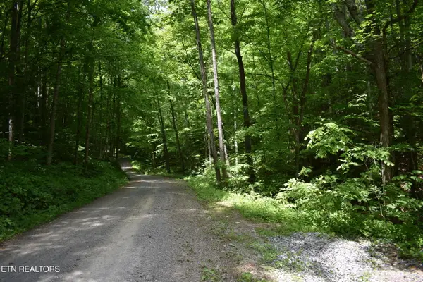 Shady Valley Rd, Ewing, VA 24248