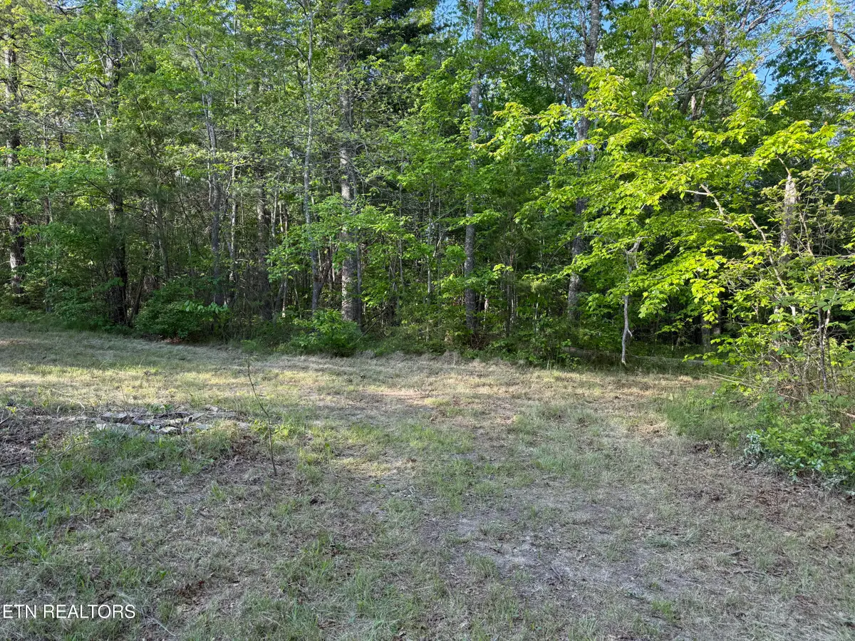 Genesis Rd. - 10.14 Acres, Crossville, TN 38571 - #1