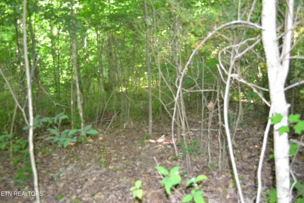 5ac Dynamite Lane, Livingston, TN 38570
