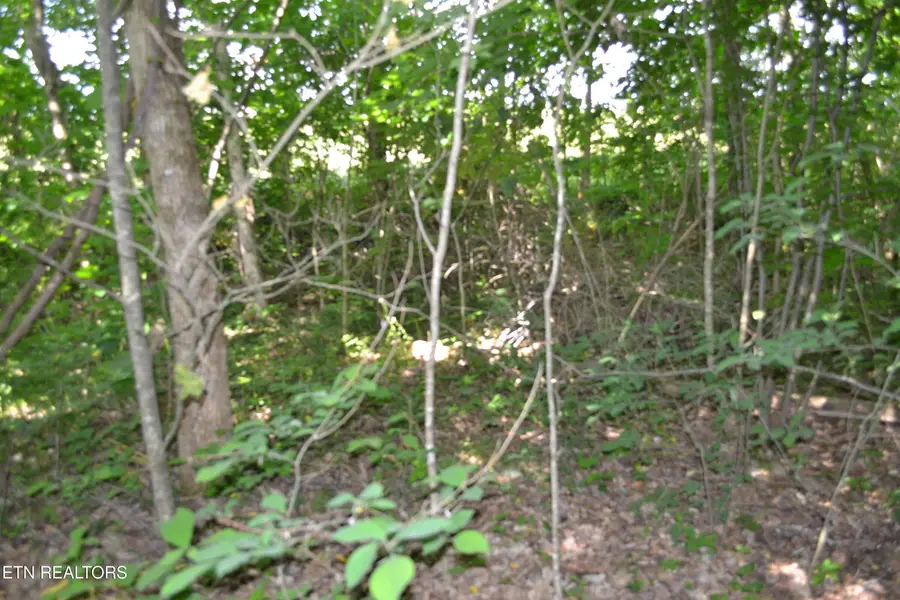 5ac Dynamite Lane, Livingston, TN 38570 - #3