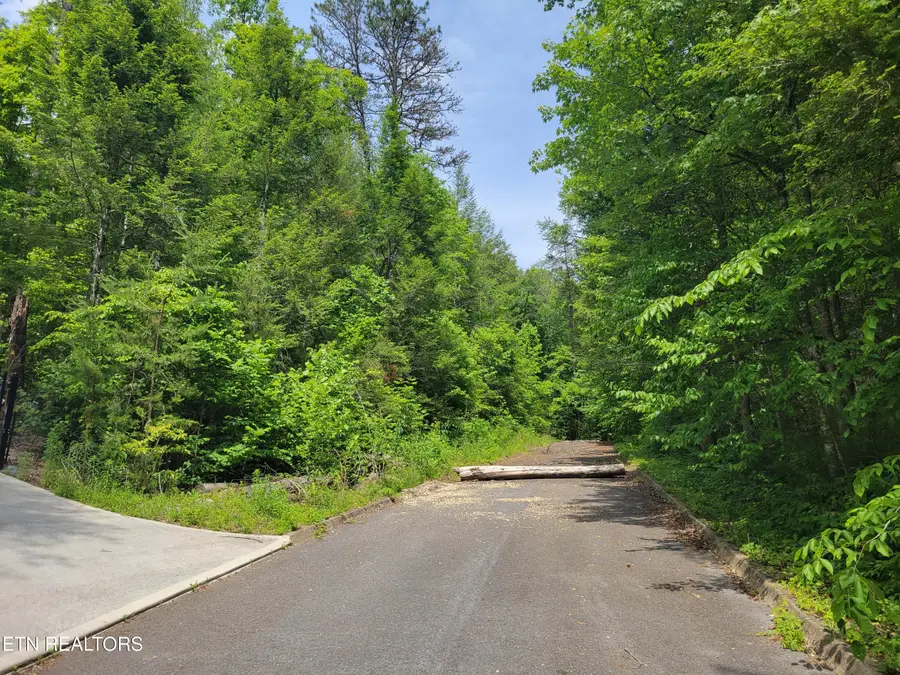Lot 13 Peace Lane #10, Cosby, TN 37722 - #3