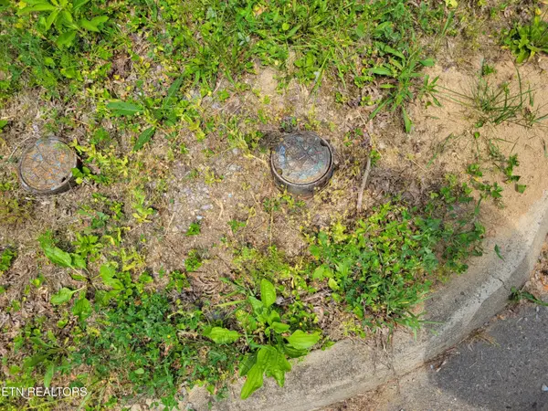 Lot 14 Peace Lane, Cosby, TN 37722