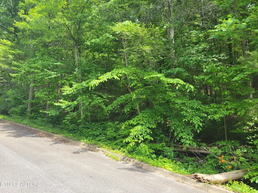 Lot 14 Peace Lane, Cosby, TN 37722 - #2