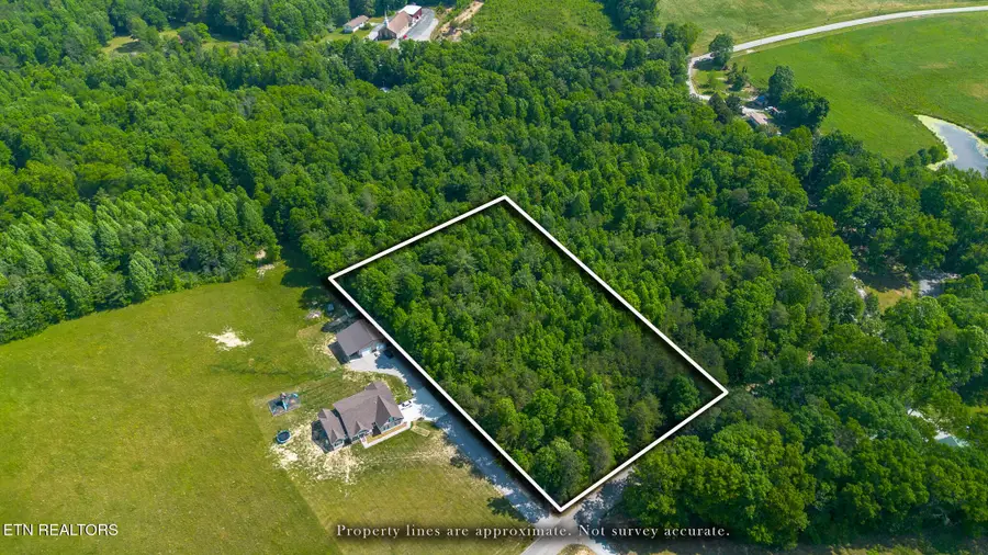 Ridge Rd, Lancing, TN 37770 - #3