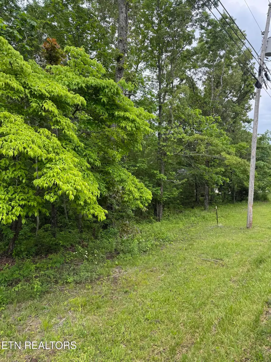 121 Windsor Rd, Crossville, TN 38558 - #2
