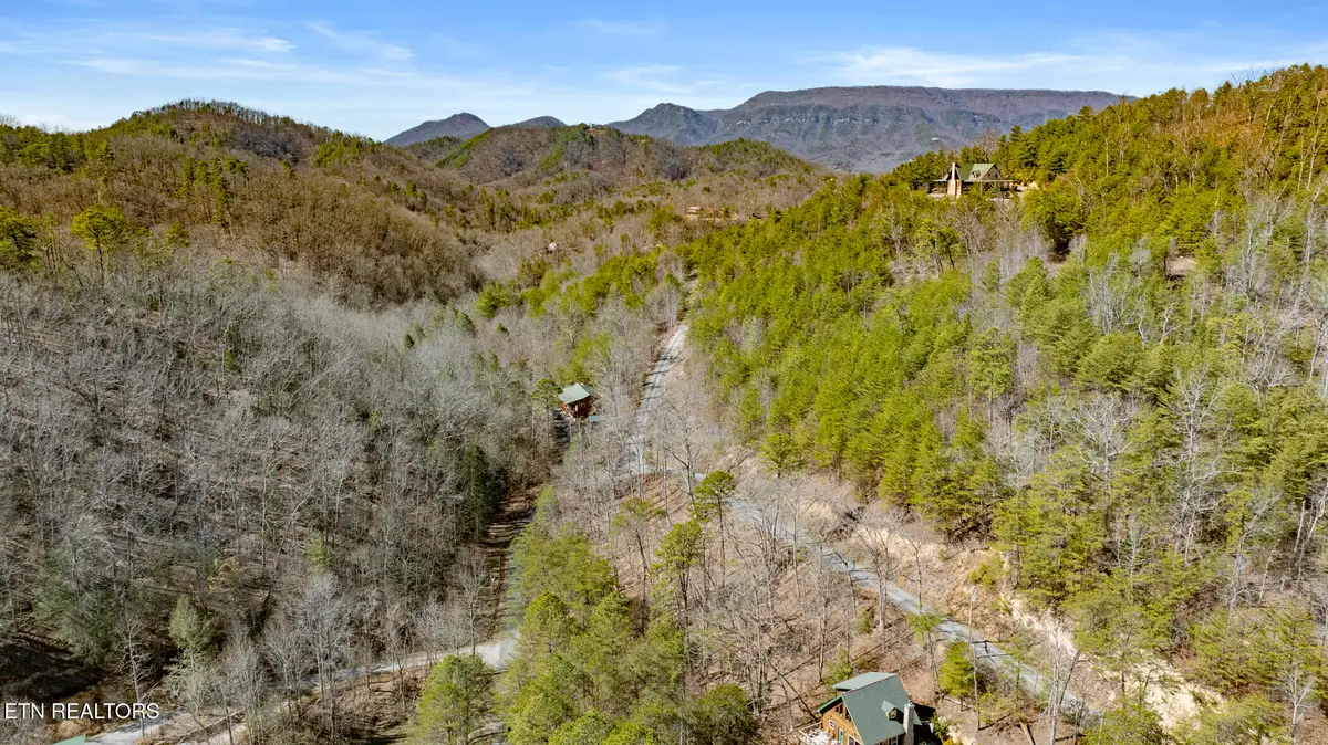 272 Cove Hollow Rd, Cosby, TN 37722 - #1
