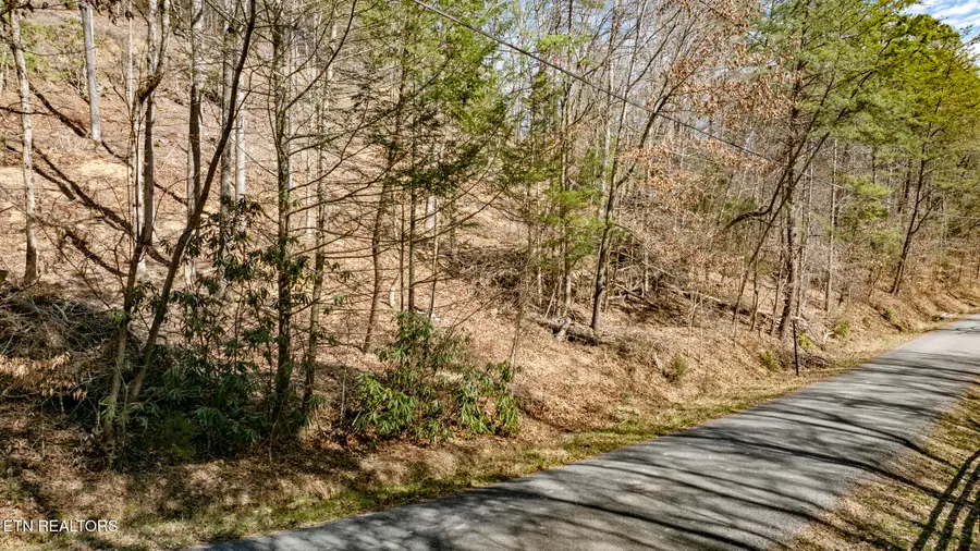 272 Cove Hollow Rd, Cosby, TN 37722 - #2