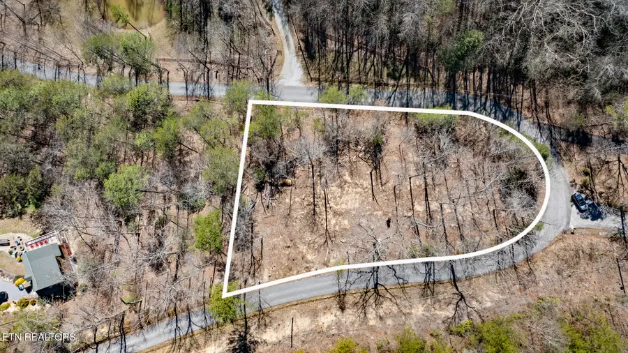 272 Cove Hollow Rd, Cosby, TN 37722 - #3