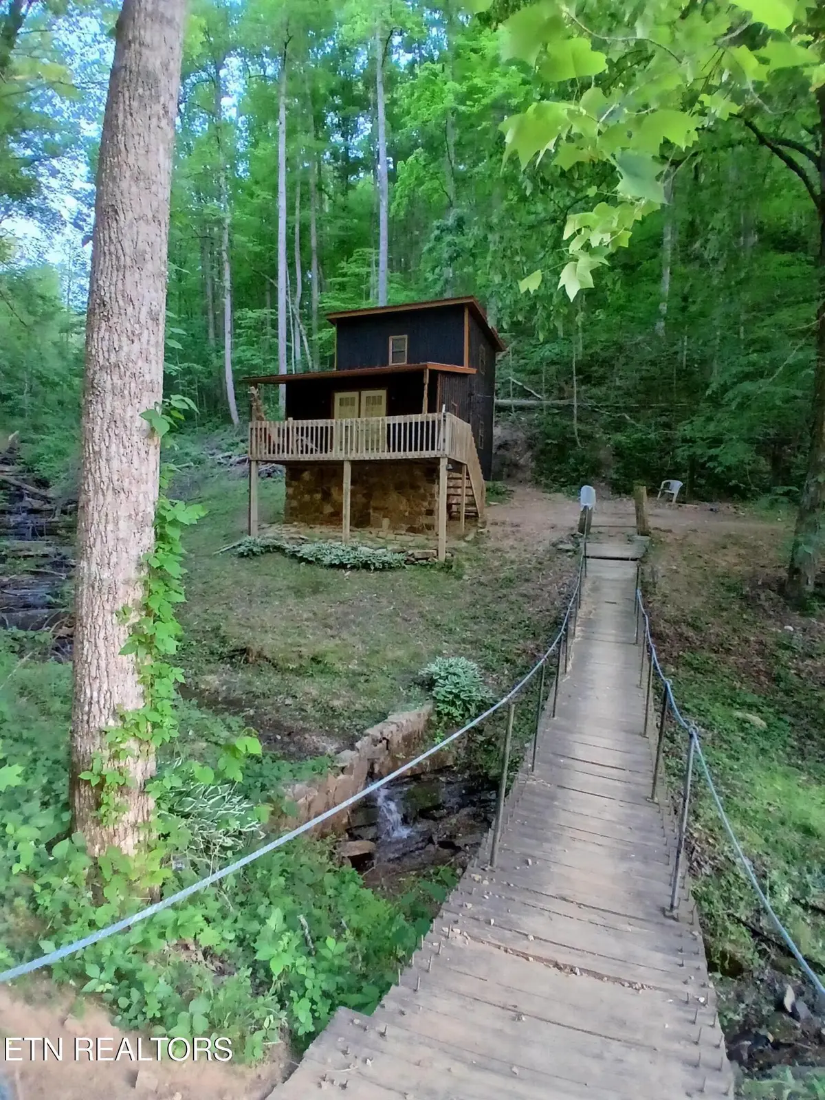 469 Brownlo Rd, Sneedville, TN 37869 - #1