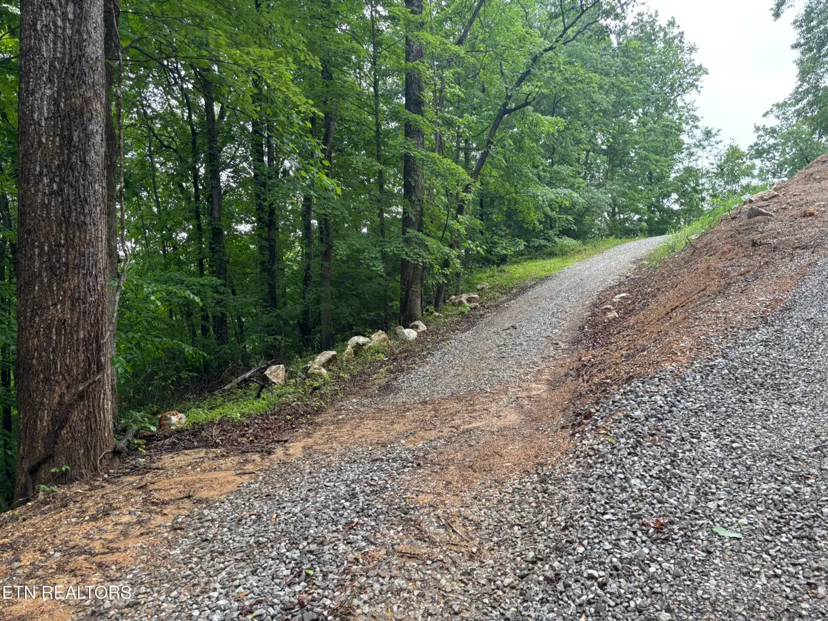 Lakemont Lane, Caryville, TN 37714 - #1