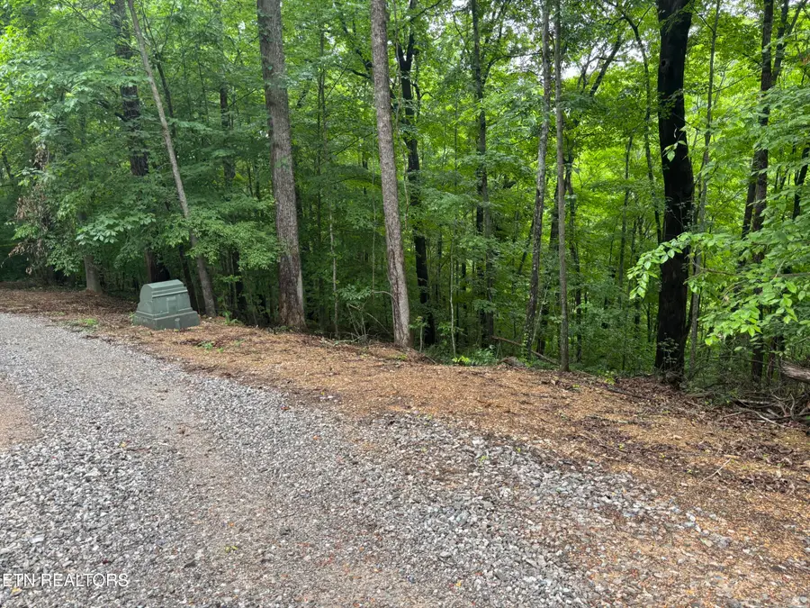 Lakemont Lane, Caryville, TN 37714 - #2