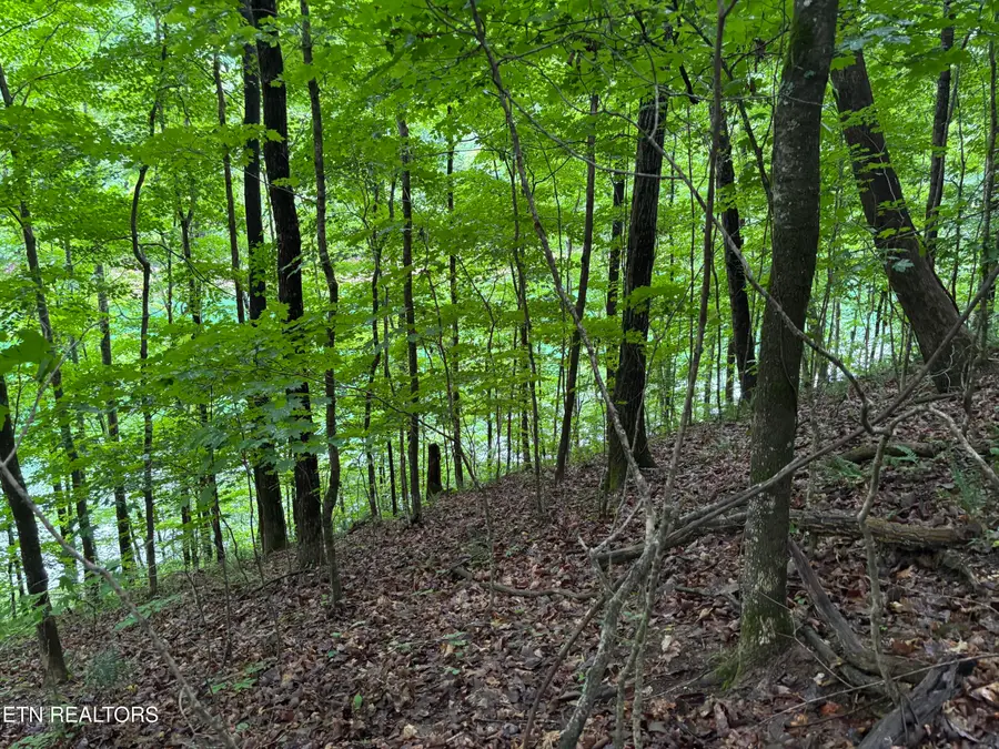 Lakemont Lane, Caryville, TN 37714 - #3