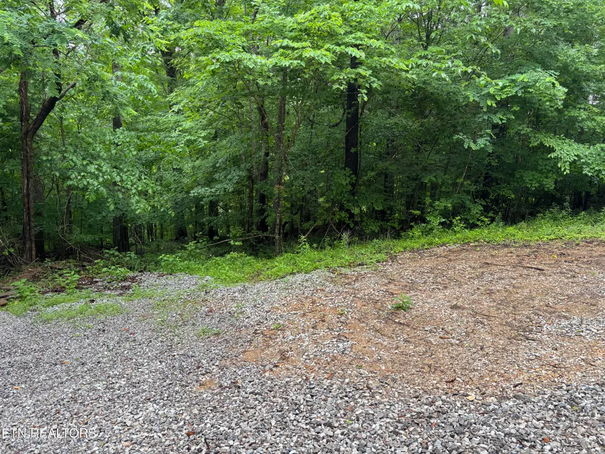 Lakemont Lane, Caryville, TN 37714 - #1