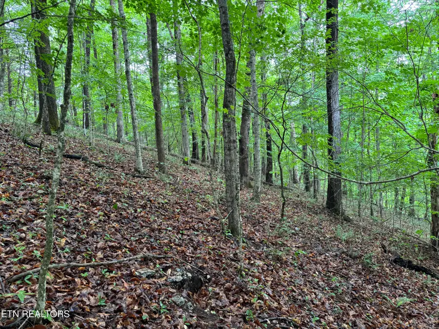 Lakemont Lane, Caryville, TN 37714 - #3