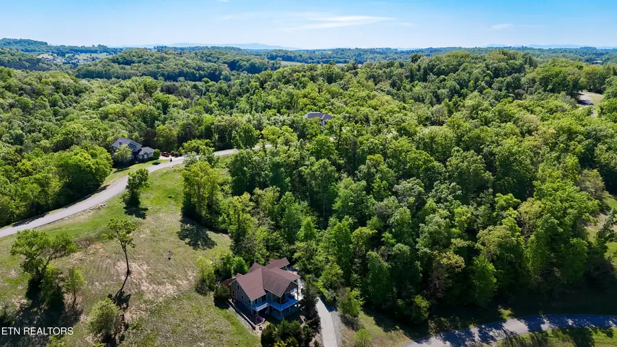 2025 Turner Landing Rd, Russellville, TN 37860 - #2