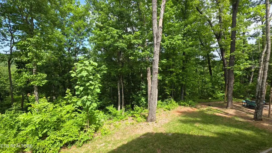 2430 Rainbow Falls Lane, Sevierville, TN 37862 - #3