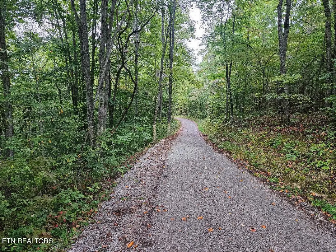 Sells Cemetery Rd, Wilder, TN 38589 - #1