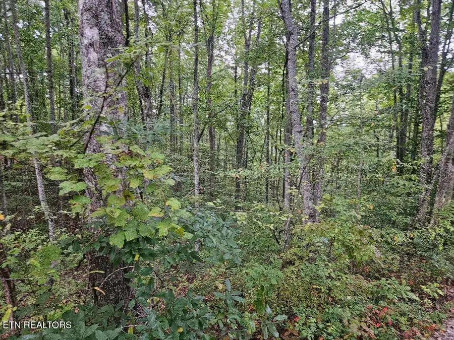 Sells Cemetery Rd, Wilder, TN 38589 - #2