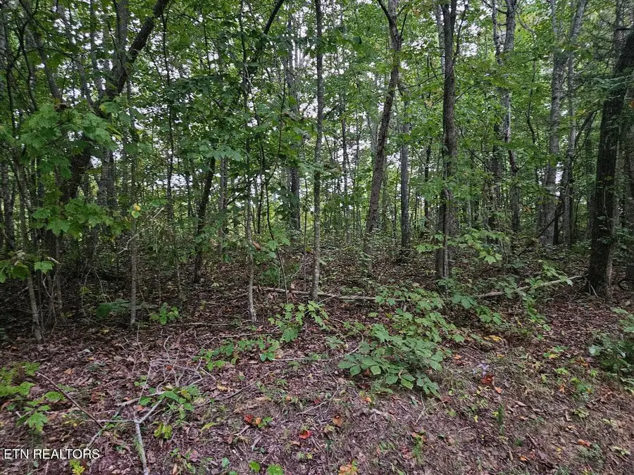 Sells Cemetery Rd, Wilder, TN 38589 - #3