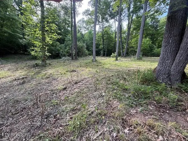 Hwy 70, Blackwater, VA 24221 - #2