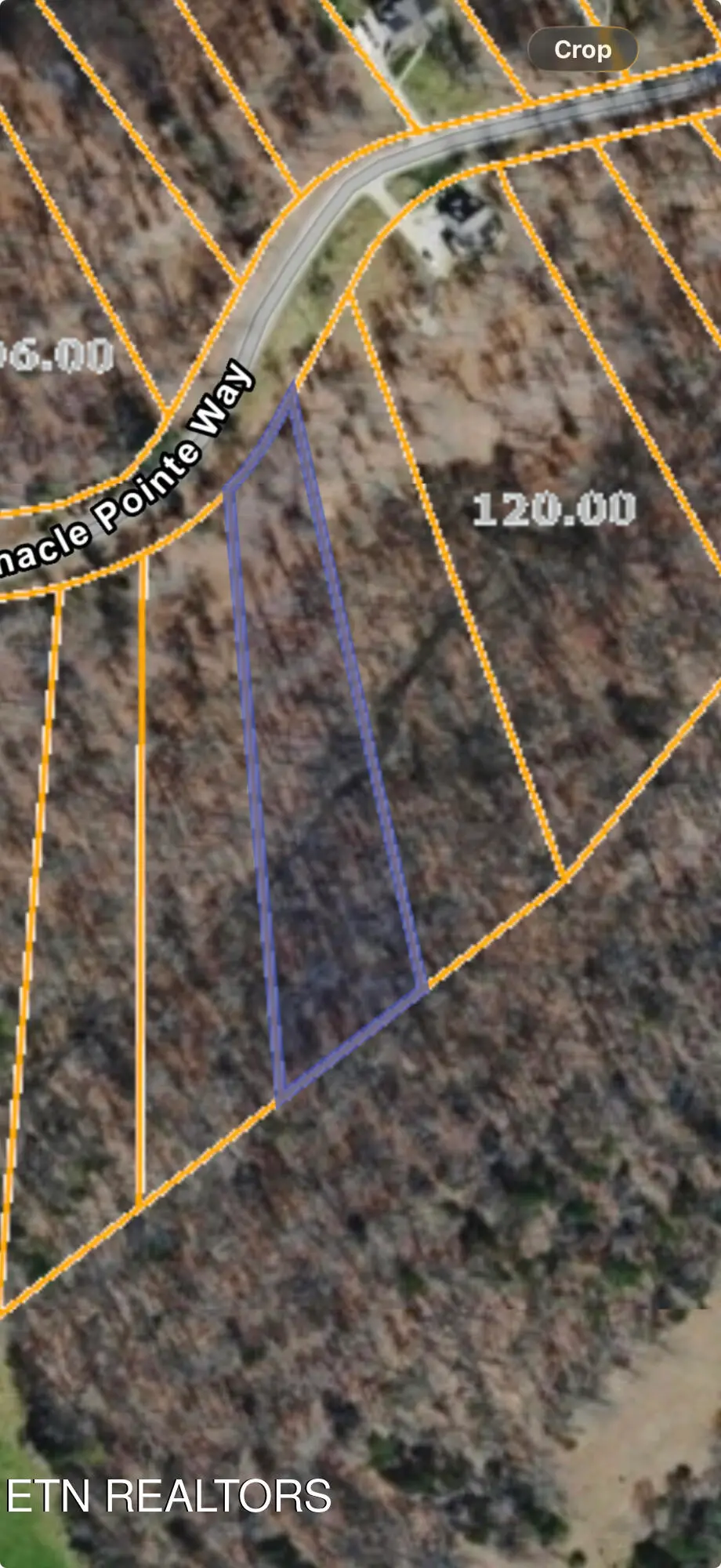 Lot 79 Pinnacle Pointe Way, Sharps Chapel, TN 37866 - #1