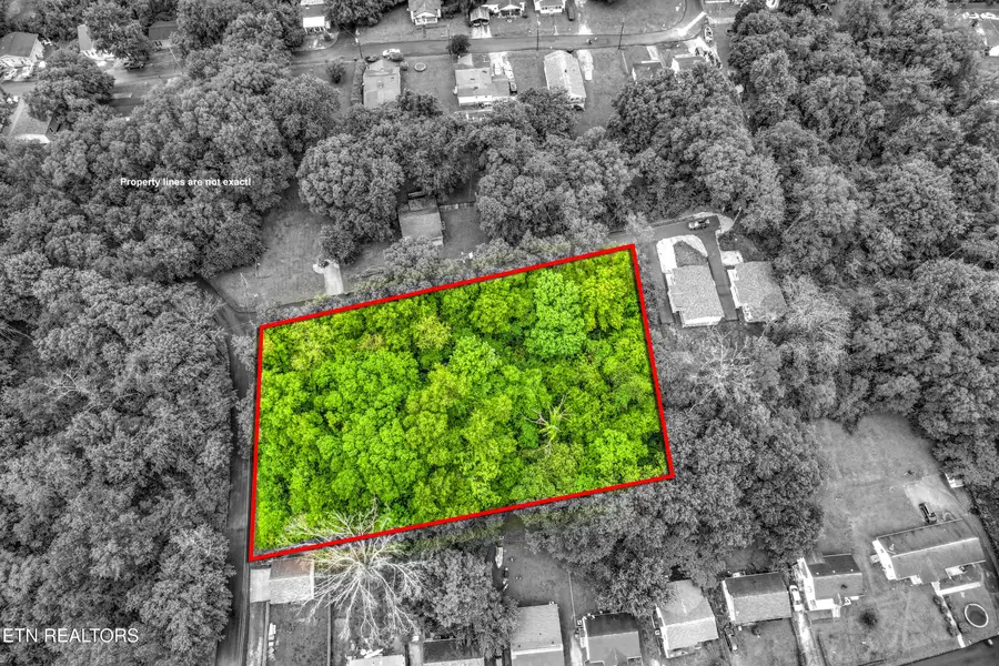 Daisy Ave, Knoxville, TN 37915 - #3