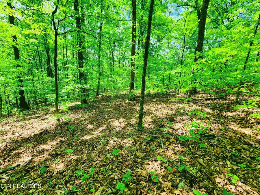 Evergreen Cove, Kingston, TN 37763 - #2