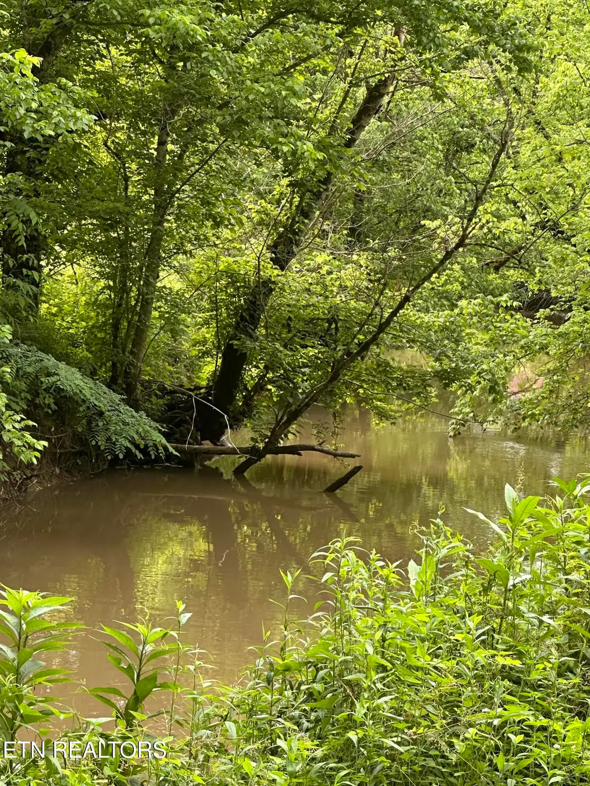 Livesay Chapel Rd, Kyles Ford, TN 37765 - #1