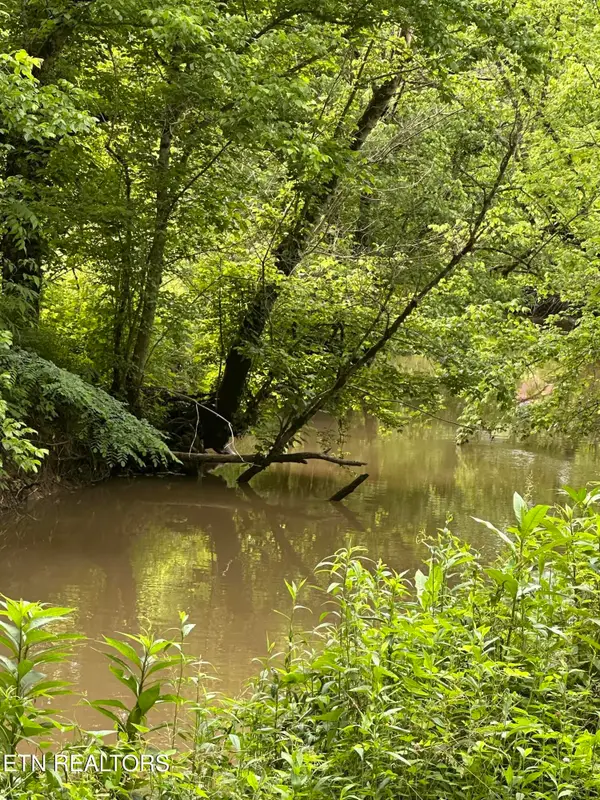 Livesay Chapel Rd, Kyles Ford, TN 37765