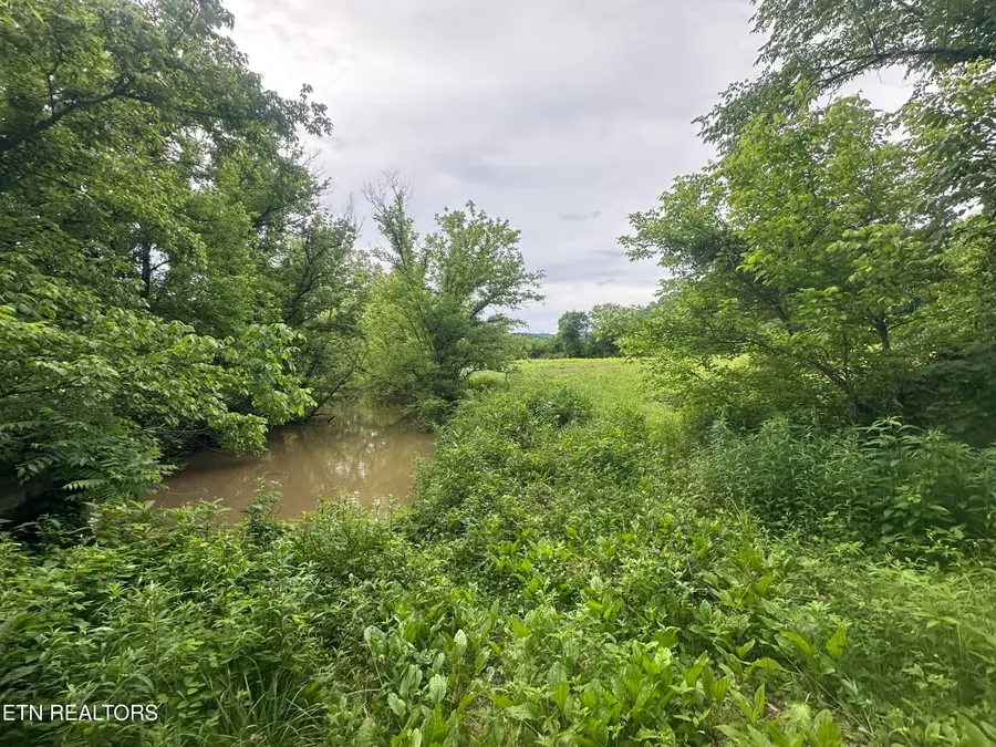 Livesay Chapel Rd, Kyles Ford, TN 37765 - #3