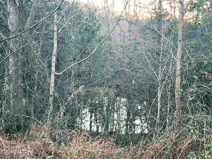 Melea Lane, Kingston, TN 37763 - #3