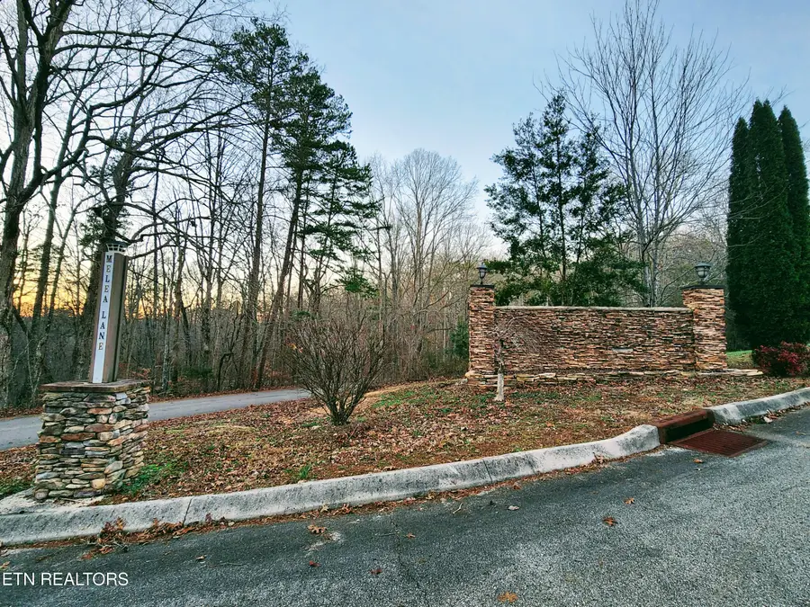 Melea Lane, Kingston, TN 37763 - #3