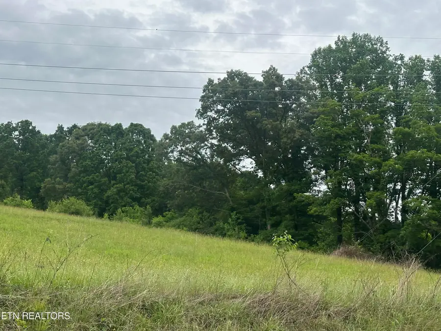 Blackwater Rd, Sneedville, TN 37869 - #2