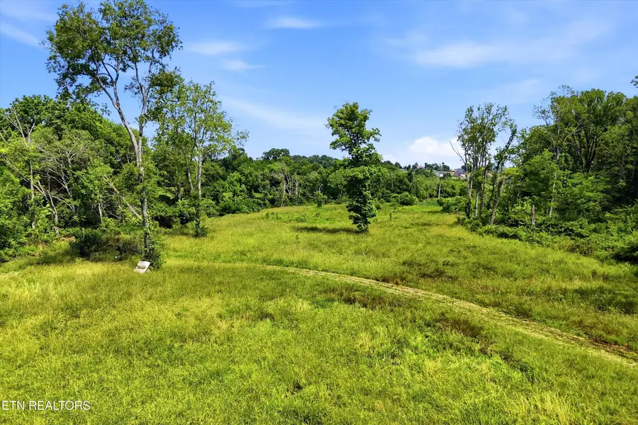 Hiwassee Rd, Madisonville, TN 37354 - #2