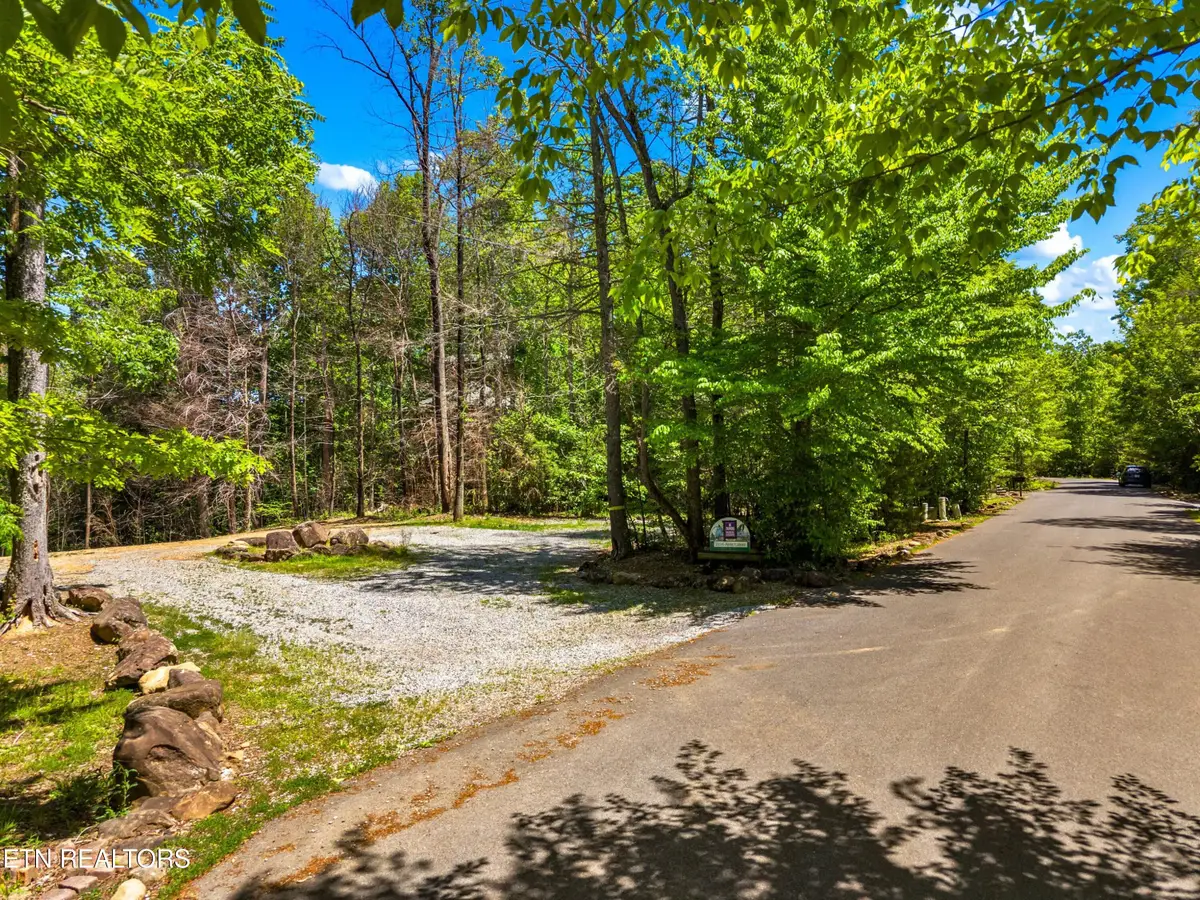 204 Amet Way, Cosby, TN 37722 - #1