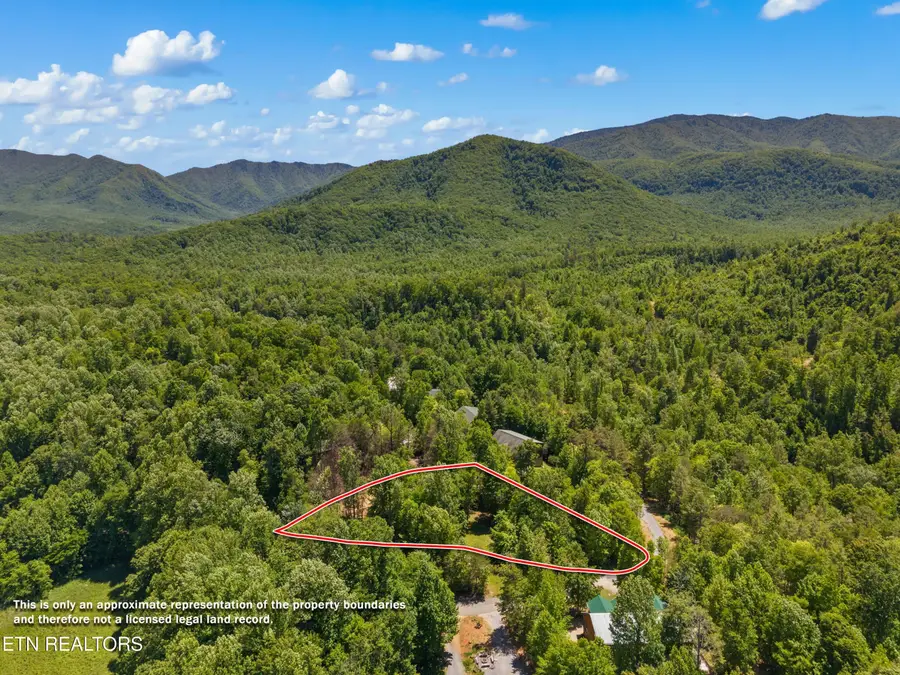 204 Amet Way, Cosby, TN 37722 - #2