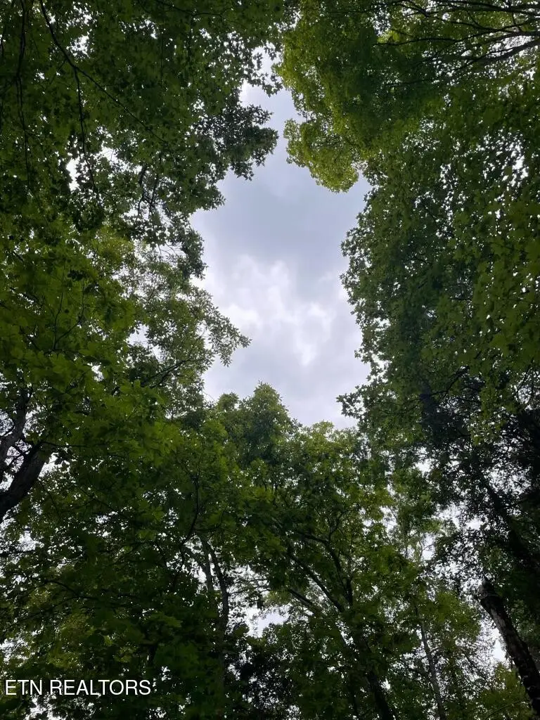 Lot 784 Russell Brothers Rd, Sharps Chapel, TN 37866 - #2