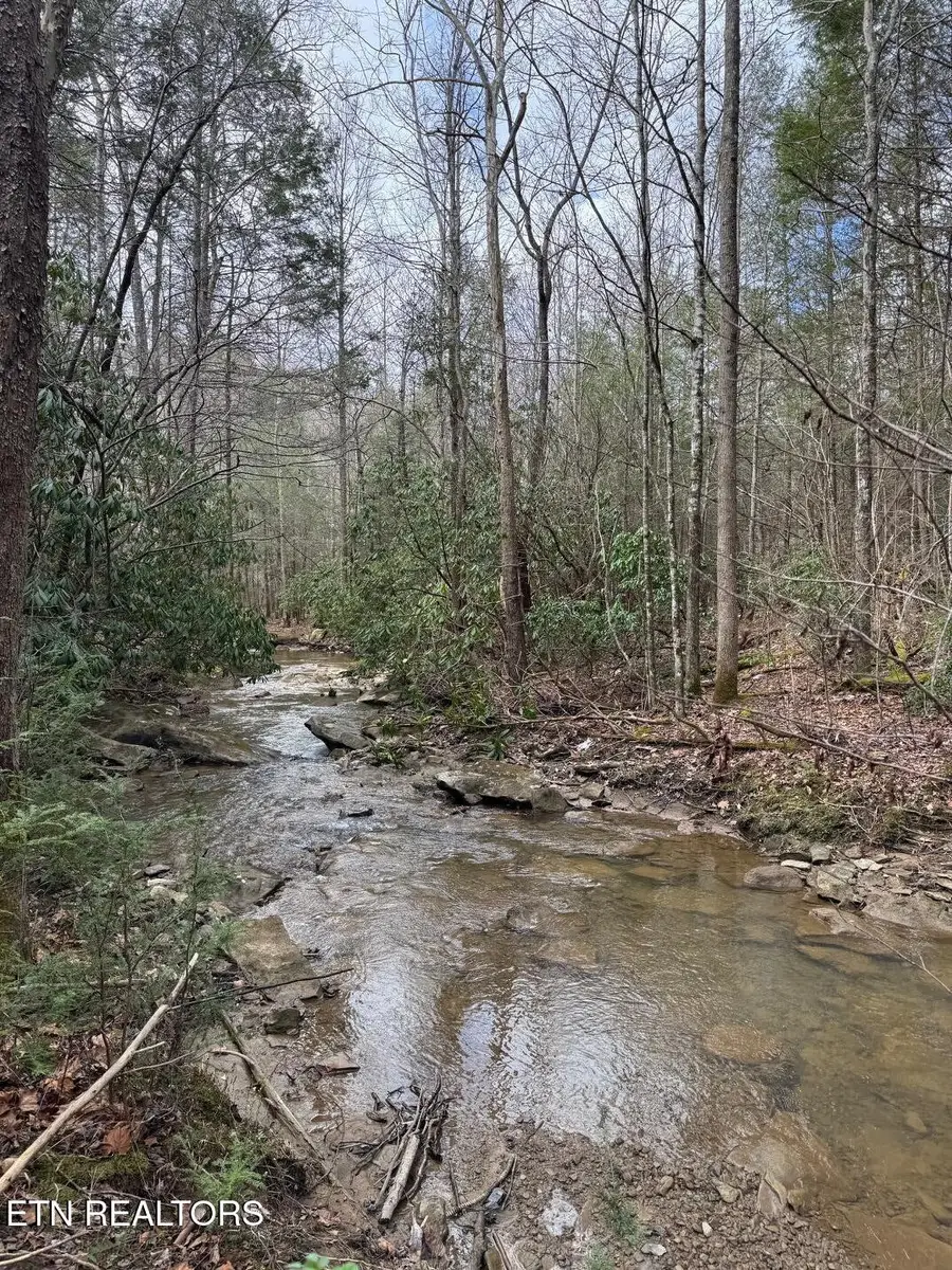 0 Highway 3484, Pineville, KY 40977 - #3