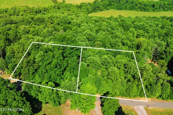 Lots 32&33 Stevia Way, Cosby, TN 37722