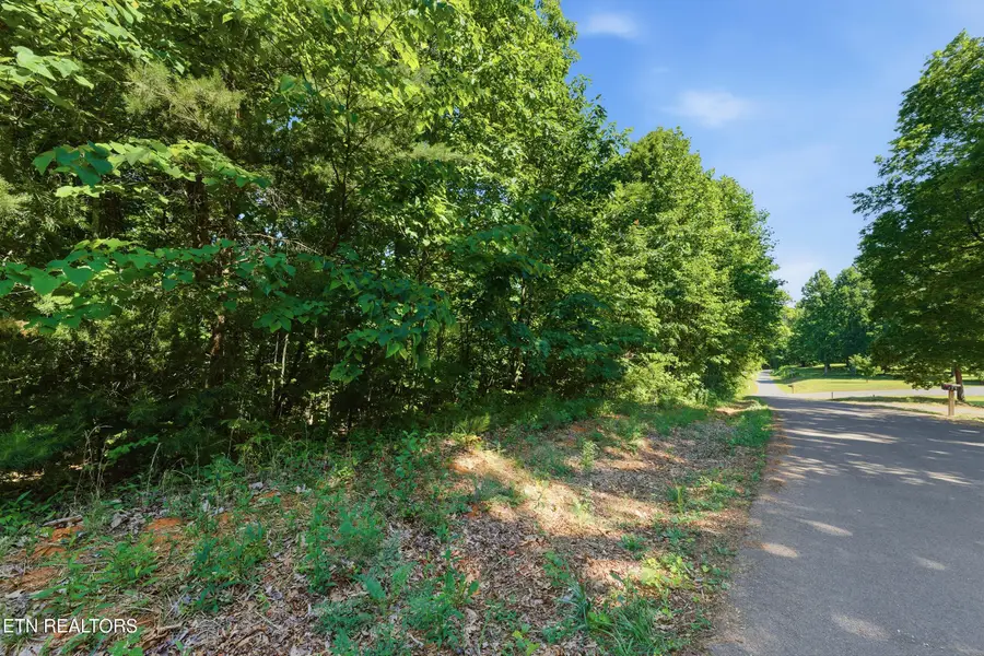 Lots 32&33 Stevia Way, Cosby, TN 37722 - #3