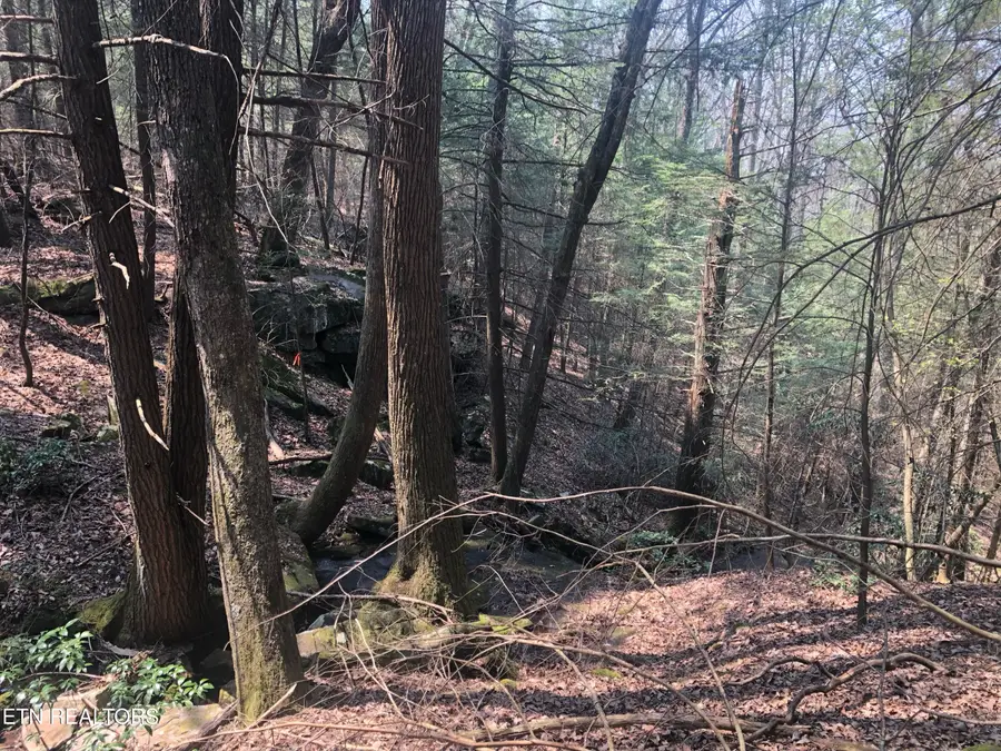 60  AC Jim Garrett Rd, Monterey, TN 38574 - #2
