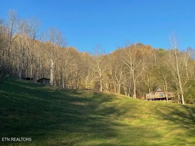 360 Spurlock Hollow Lane, Gainesboro, TN 38562 - #1