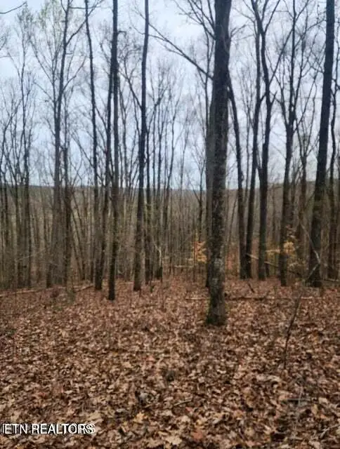 Upper Concord Rd, Ten Mile, TN 37880