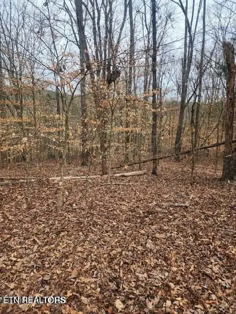 Upper Concord Rd, Ten Mile, TN 37880 - #2