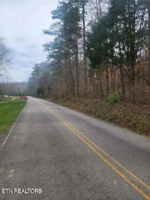 Upper Concord Rd, Ten Mile, TN 37880 - #3