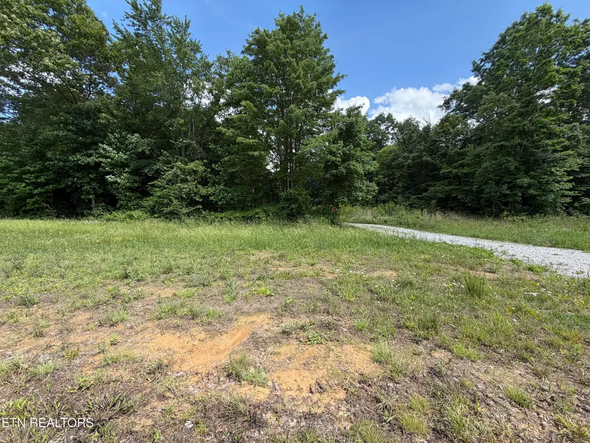 768 Remington Rd, Jamestown, TN 38556 - #1