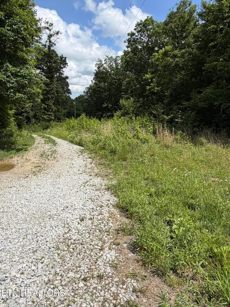 768 Remington Rd, Jamestown, TN 38556 - #2