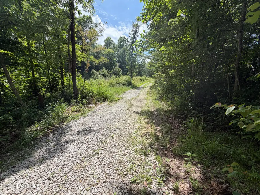 768 Remington Rd, Jamestown, TN 38556 - #3