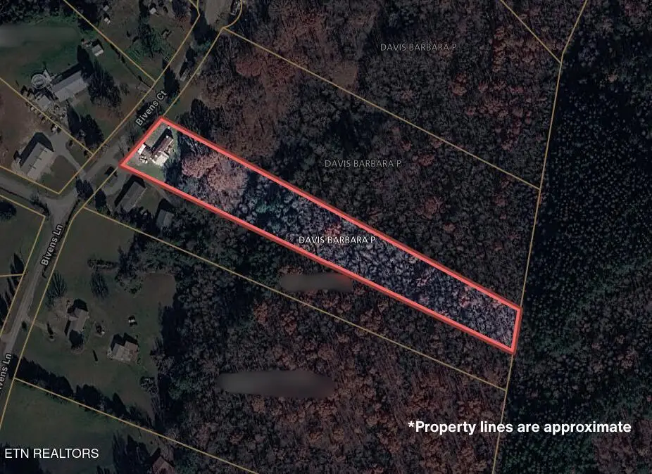 160 Bivens Court, Niota, TN 37826 - #1