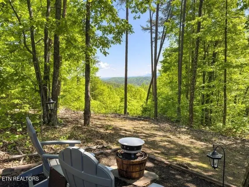 1654 S Mountain View Rd, Sevierville, TN 37876 - #2